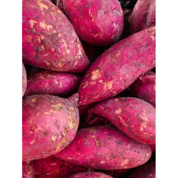 Organic Sweet Potato 